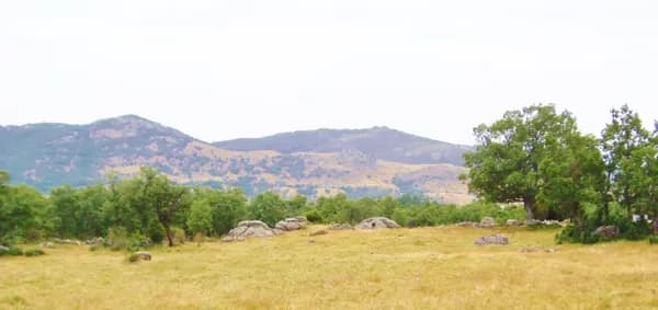 Finca de recreo de 30 ha en venta en Madrid