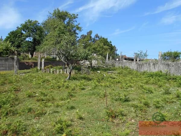 Finca rústica de 0,17 ha en venta en Salvaterra de miño, Pontevedra