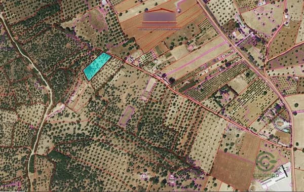 Finca agrícola de 0,33 ha en venta en Higuera la real, Badajoz