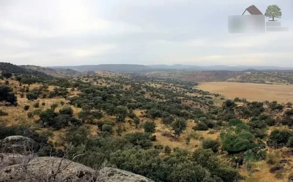 Finca rústica de 800 ha en venta en Cáceres
