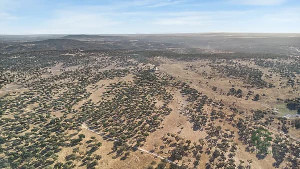 Fazenda rustica de 224 ha para venda em Évora