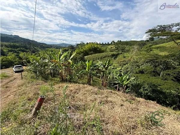 Finca agrícola de 0,2 ha en venta en Caldas