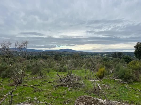 Finca rústica de 10 ha en venta en Cáceres