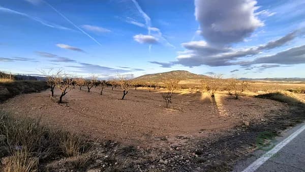Finca agrícola de 0,8234 ha en venta en Murcia