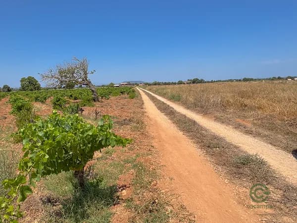 Finca rústica de 1,7 ha en venta en Felanitx, Baleares