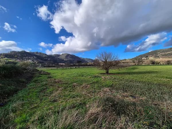 Finca agrícola de 0,17 ha en venta en Grado, Asturias