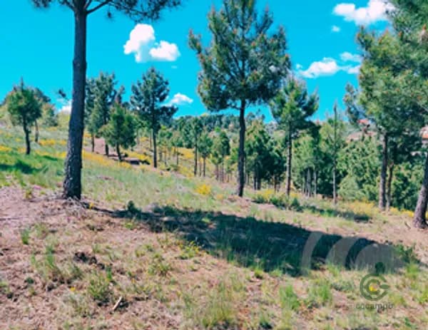 Finca rústica de 2,2 ha en venta en Vale de anta, Vila real