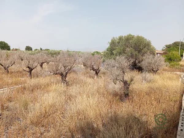 Finca agrícola de 0,34 ha en venta en Mutxamel, Alicante