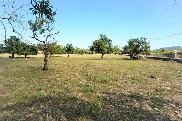 Finca rústica de 6,2299 ha en venta en Artà, Baleares