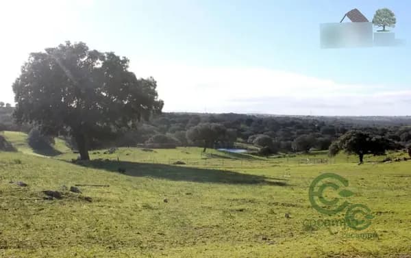 Finca rústica de 600 ha en venta en Cáceres