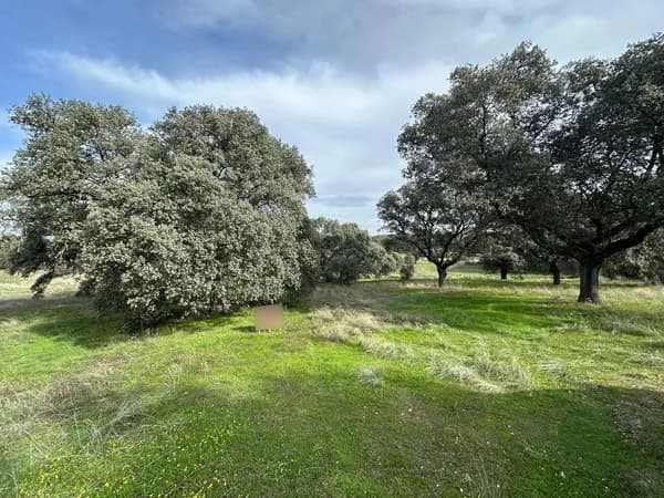 Finca rústica de 1,46 ha en venta en Toledo