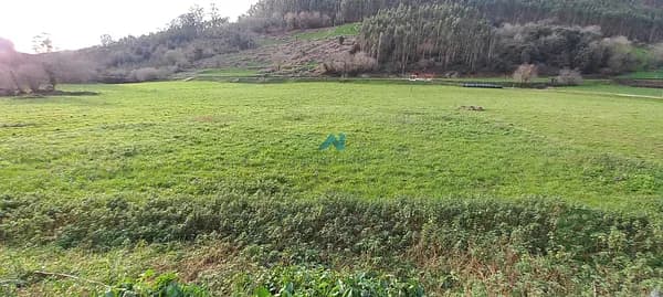 Finca agrícola de 0,1412 ha en venta en Voto, Cantabria
