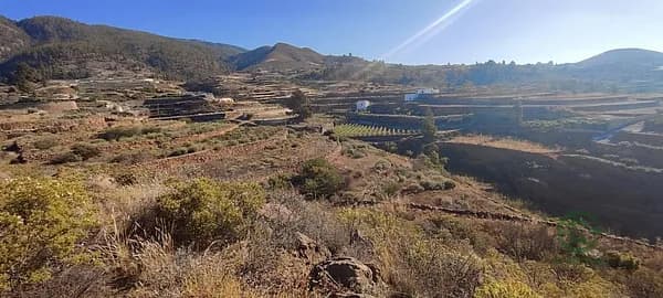 Finca rústica de 1,7992 ha en venta en Granadilla de abona, Santa cruz de tenerife