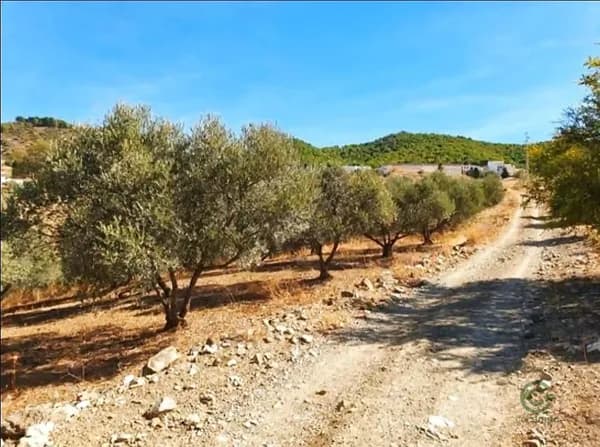 Agricultural property of 0,4 ha for sale in Malaga