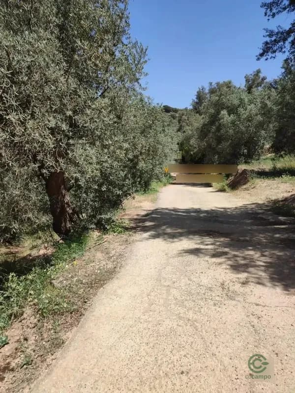 Finca agrícola de 0,2 ha en venta en Lecrin, Granada