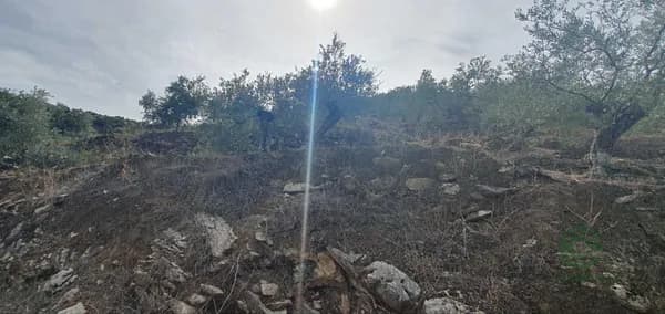 Finca agrícola de 0,6783 ha en venta en Yunquera, Malaga