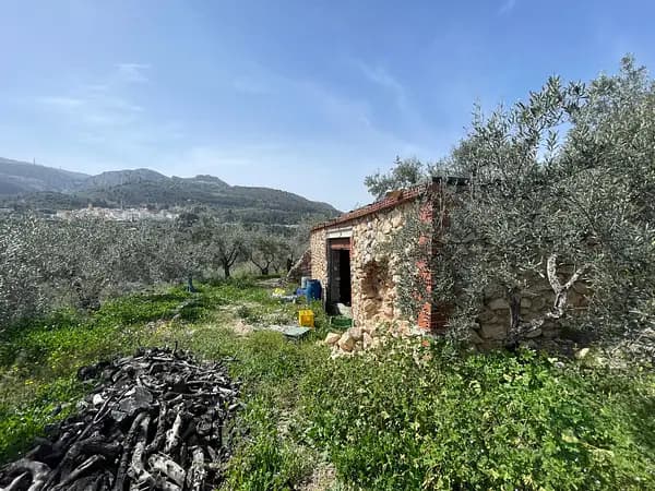 Rustic property of 1,08 ha for sale in Alicante