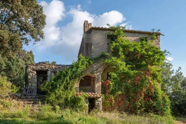 Finca forestal de 25 ha en venta en Maçanet de cabrenys, Girona