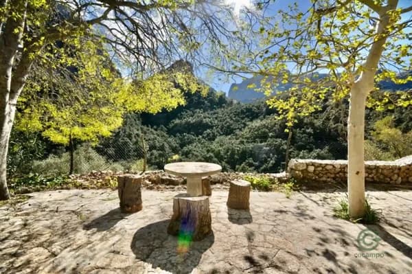 Finca rústica de 25 ha en venta en Escorca, Mallorca