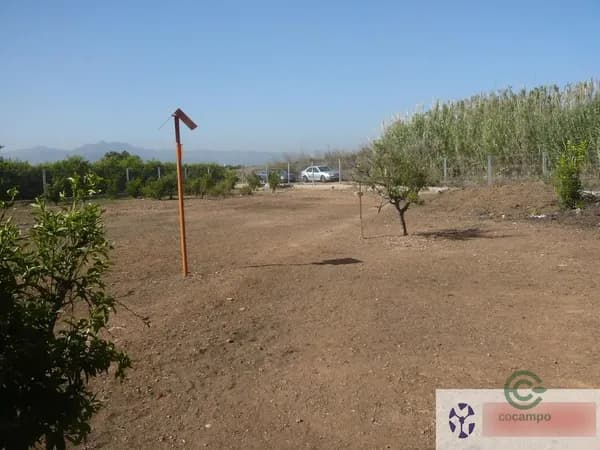 Finca rústica de 0,17 ha en venta en Burriana, Castellón