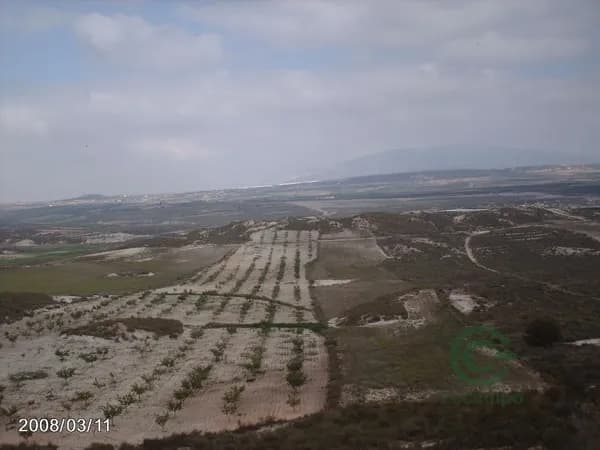 Finca rústica de 3,1 ha en venta en Murcia