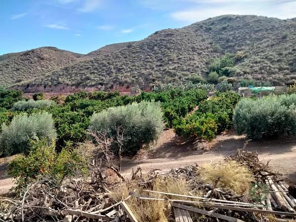 Finca agrícola de 12 ha en venta en Águilas, Murcia