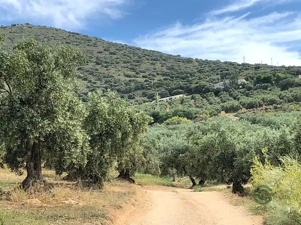 Finca agrícola de 17,3 ha en venta en Granada