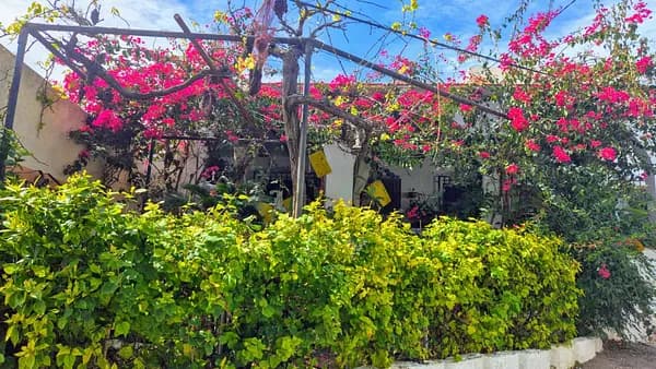 Finca rústica de 0,0289 ha en venta en Los gallardos, Almeria