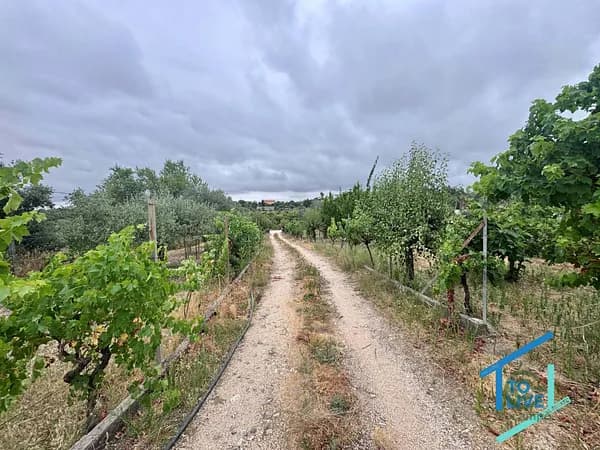 Finca rústica de 0,592 ha en venta en Tomar, Santarém