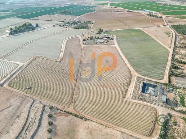 Finca agrícola de 6,6 ha en venta en Huercal-overa, Almeria