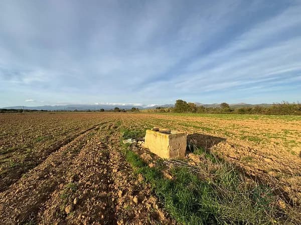 Finca rústica de 2,3 ha en venta en Garriguella, Girona