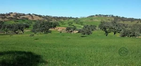 Finca rústica de 207 ha en venta en Huelva