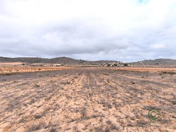 Finca rústica de 1,2522 ha en venta en Pinoso, Alicante