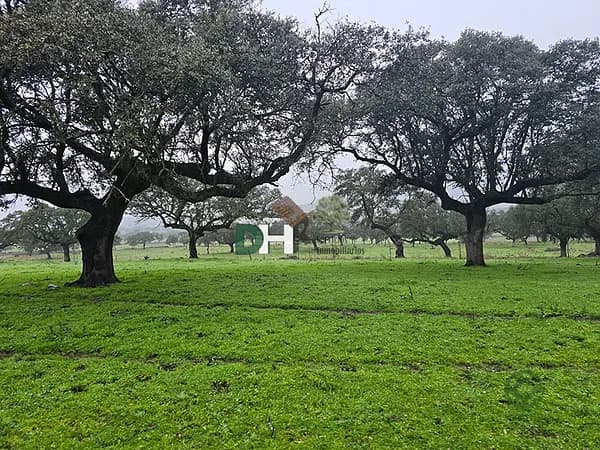 Finca rústica de 208 ha en venta en Cáceres