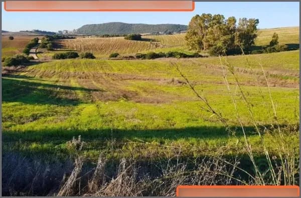 Rustic property of 3,5 ha for sale in Cadiz