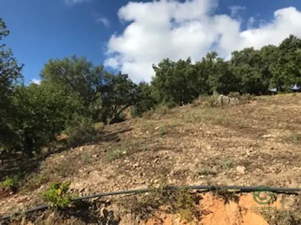 Finca de recreo de 7 ha en venta en Huelva