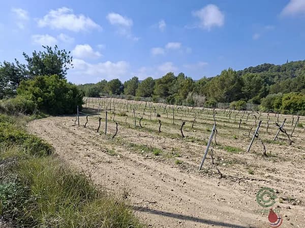 Finca agrícola de 1,7454 ha en venta en Tarragona