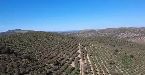 Finca rústica de 60 ha en venta en Málaga