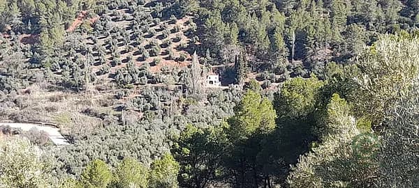 Finca rústica de 3 ha en venta en Segura de la sierra, Jaén