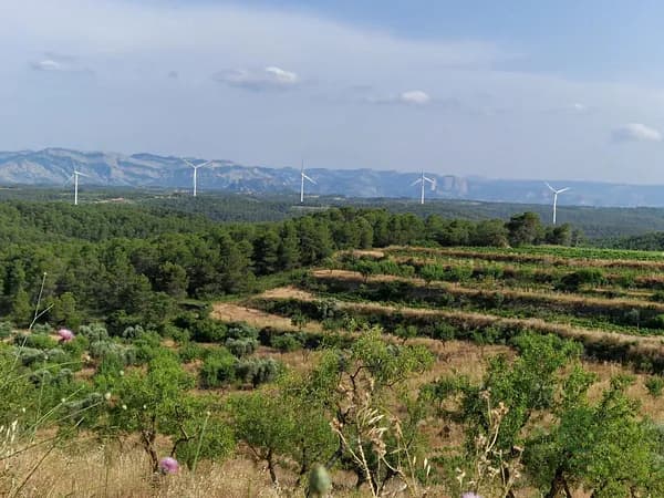 Finca rústica de 4 ha en venta en Tarragona
