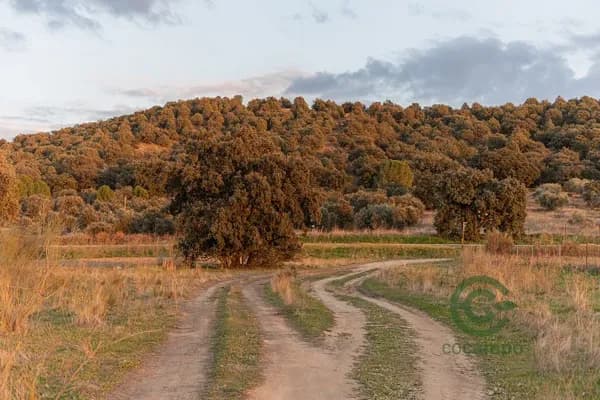 Finca rústica de 106 ha en venta en Madrid