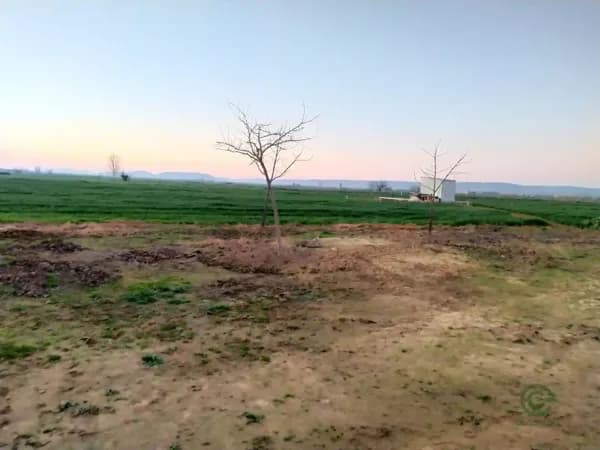 Finca rústica de 1,49 ha en venta en Robledo (el), Ciudad real
