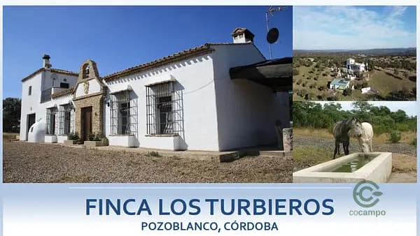 Finca rústica de 30 ha en venta en Córdoba