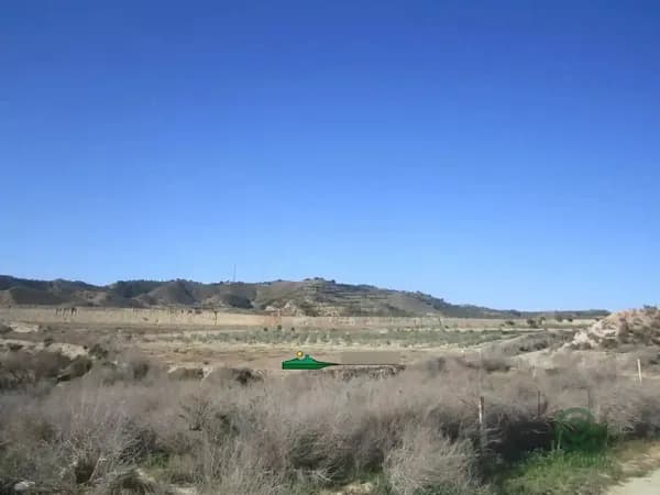 Finca agrícola de 4 ha en venta en Huercal-overa, Almeria