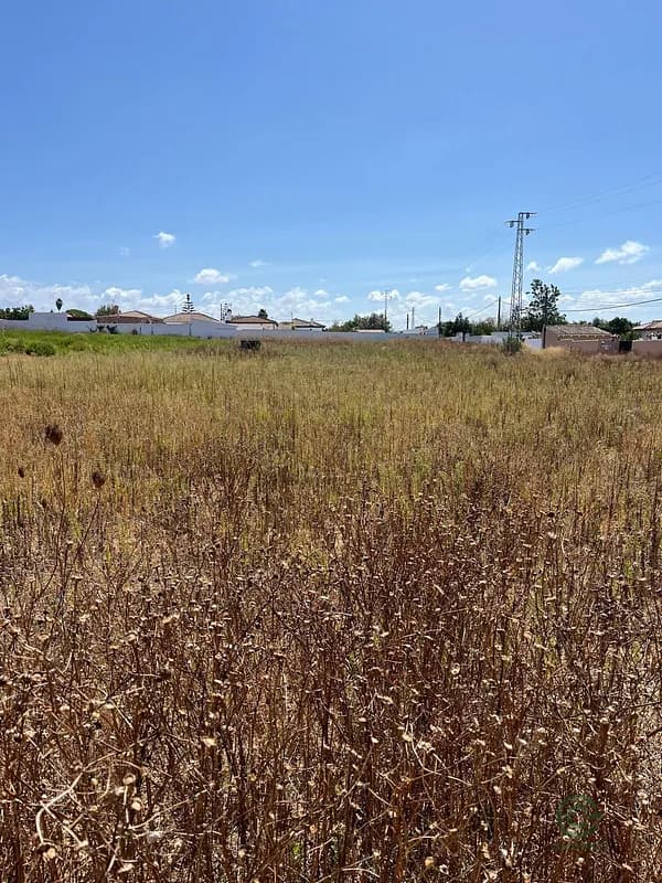 Finca rústica de 0,3 ha en venta en Chiclana de la frontera, Cadiz
