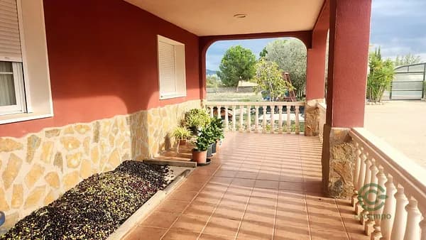 Finca rústica de 1,08 ha en venta en Sax, Alicante