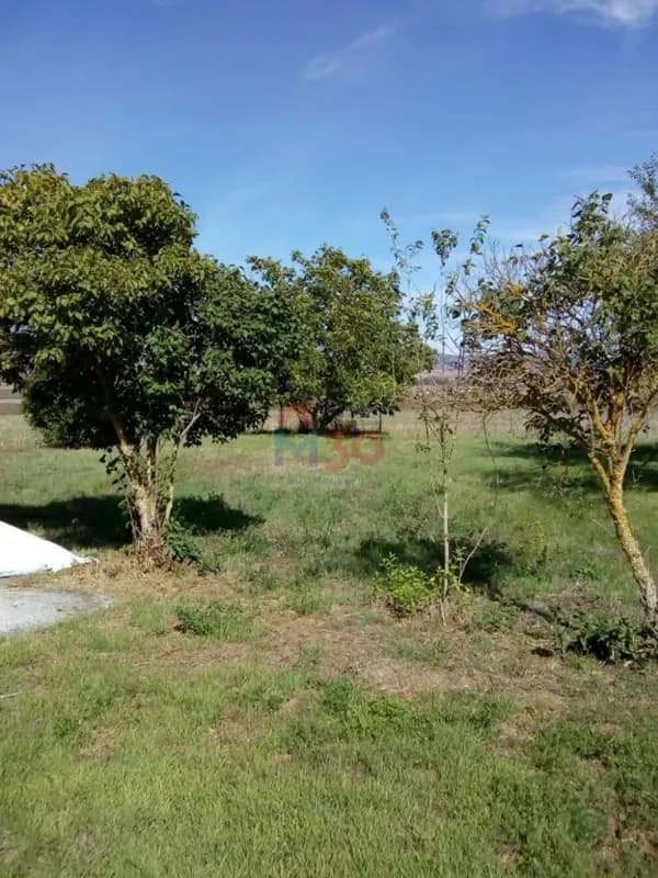 Finca rústica de 0,14 ha en venta en Fuentebureba, Burgos