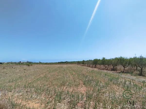 Finca rústica de 1,45 ha en venta en Santa margalida, Baleares