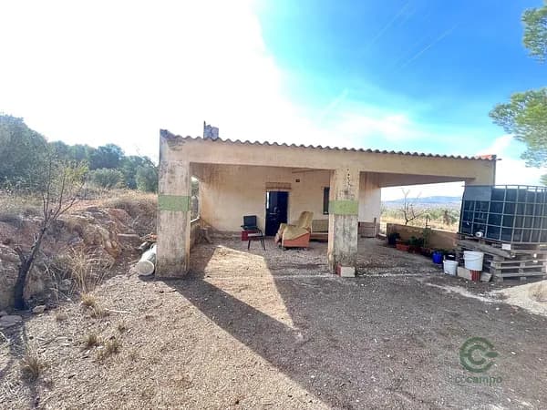 Finca agrícola de 1,0011 ha en venta en Pinoso, Alicante