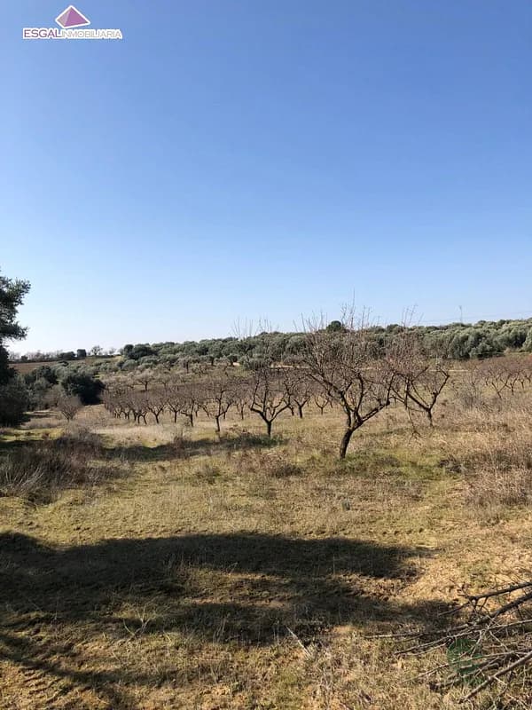 Finca agrícola de 1 ha en venta en Cregenzan, Huesca